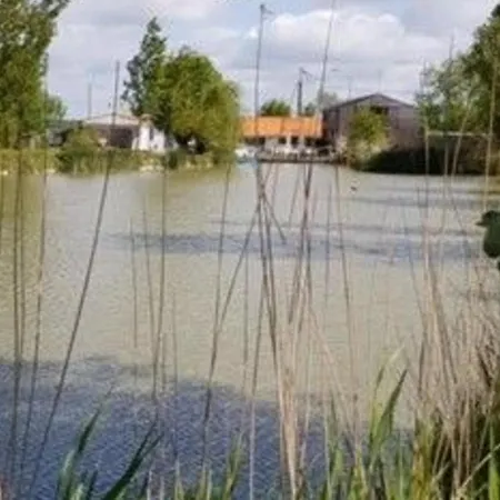 Semesterbostad Charmante Grange Renovee Avec Piscine Et Wifi - Fr-1-306-822