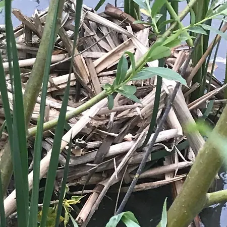 Charmante Grange Renovee Avec Piscine Et Wifi - Fr-1-306-822 Semesterbostad *