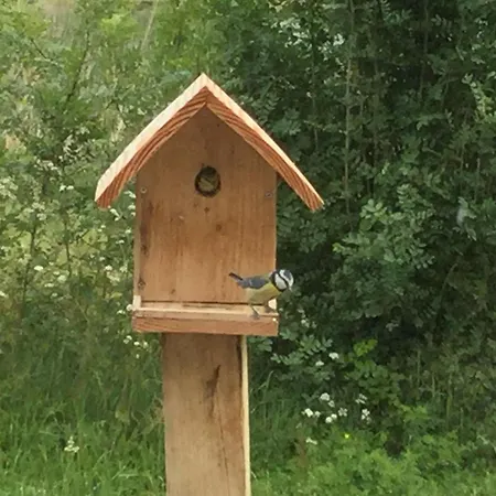 Charmante Grange Renovee Avec Piscine Et Wifi - Fr-1-306-822 Semesterbostad *