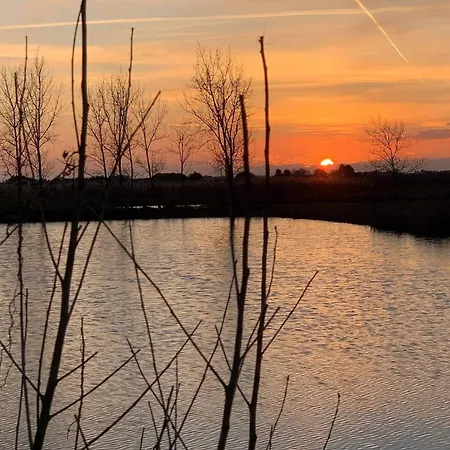 Semesterbostad Charmante Grange Renovee Avec Piscine Et Wifi - Fr-1-306-822