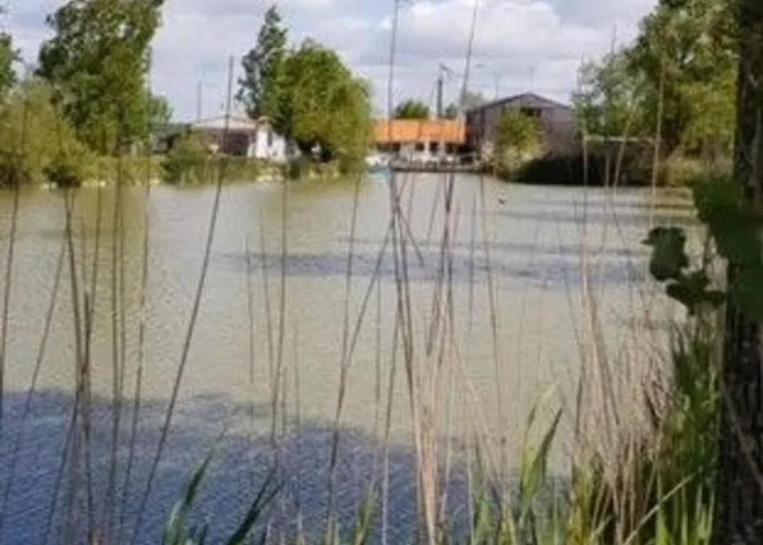 Ferienhaus Charmante Grange Renovee Avec Piscine Et Wifi - Fr-1-306-822