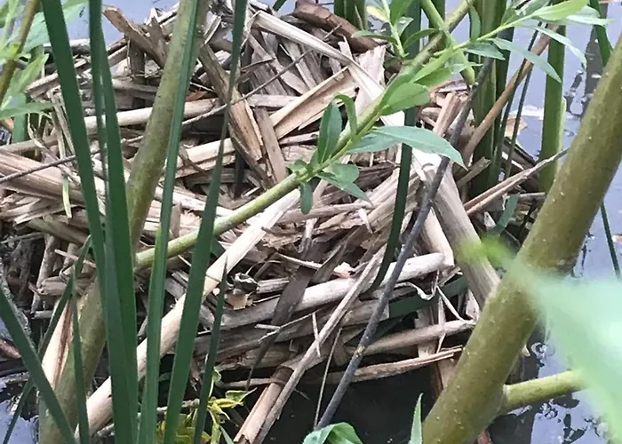 Charmante Grange Renovee Avec Piscine Et Wifi - Fr-1-306-822 Ferienhaus *