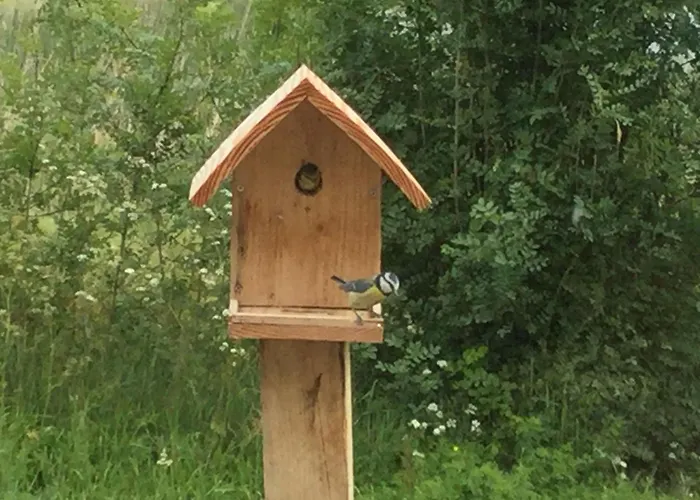 Charmante Grange Renovee Avec Piscine Et Wifi - Fr-1-306-822 Ferienhaus *